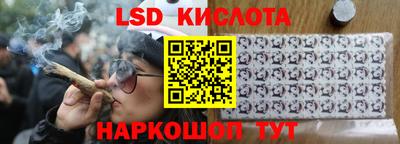 ешки Новозыбков