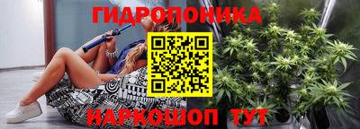 дживик Новокубанск